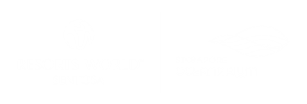 RWSxSGO logo B&W (for website on supporters of the conference)_mod-1.png